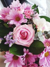 Close-up of pink roses