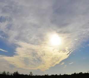 Low angle view of silhouette trees against sky during sunset