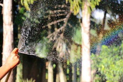 Cropped image of hand sprinkling water from hose in back yard
