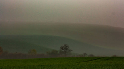 Scenic view of field against sky during foggy weather