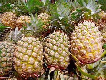 Close-up of fruits for sale in market