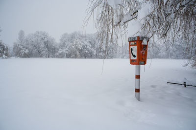 Bare trees on snow covered field