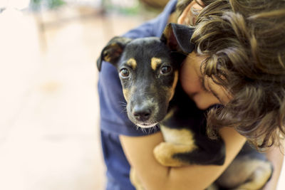 Close-up of dog