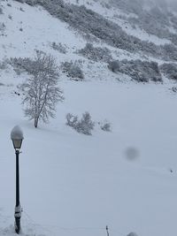 winter