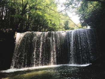 View of waterfall in forest