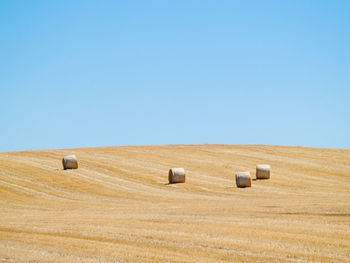 Hay bales on field against clear blue sky