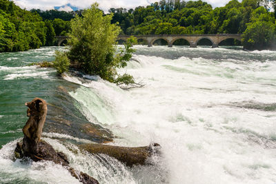 A beautiful waterfall on the river rhine in the city neuhausen am rheinfall in northern switzerland.