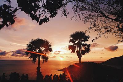 Silhouette trees on beach against sky during sunset