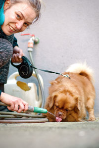 Portrait shot of cute little brown dog drinking water from the hose