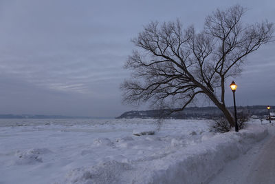 Snow covered land and bare trees against sky during winter