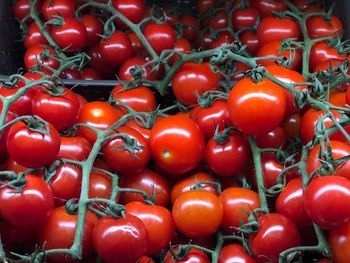 Full frame shot of tomatoes for sale