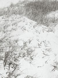 Full frame shot of white background