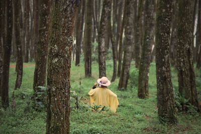 Rear view of woman standing in forest