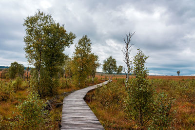 Boardwalk amidst trees on landscape against sky