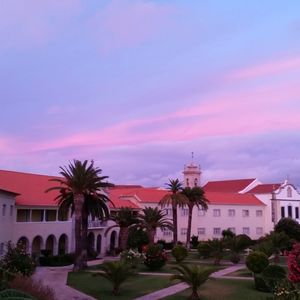 Palm trees and buildings against sky at sunset