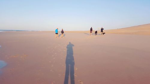 Rear view of people walking on sand at beach against clear sky