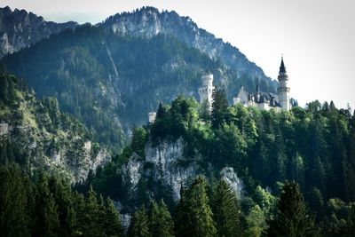 Panoramic view of trees and castle against sky