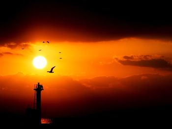 Silhouette birds flying against orange sky