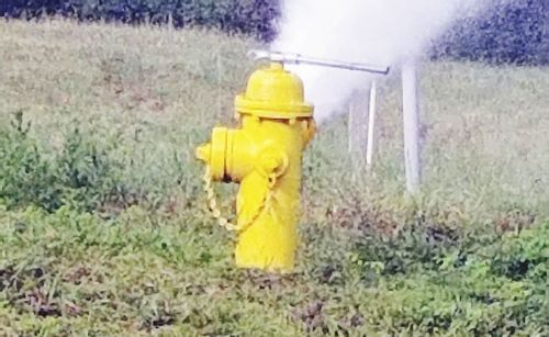 Yellow fire hydrant on field