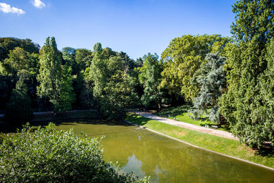 Scenic view of lake by trees against sky