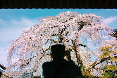 Low angle view of tree against mountain