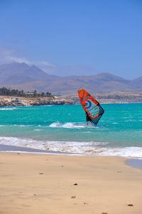 Scenic view of windsurfer on beach