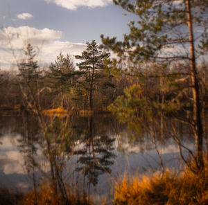 Reflection of trees in lake against sky