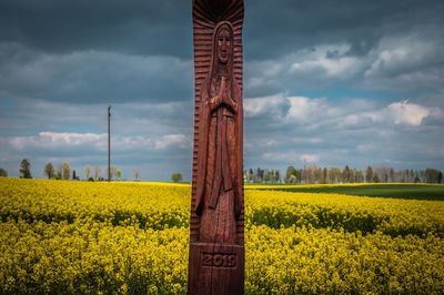 Scenic view of oilseed rape field against cloudy sky