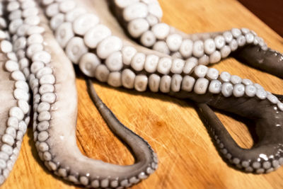 Close-up of snake on table