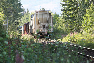 Train on railroad track amidst trees