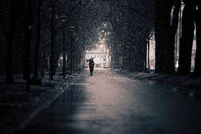 Person walking amidst trees on road during rainy season
