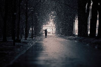 Man walking on road in forest