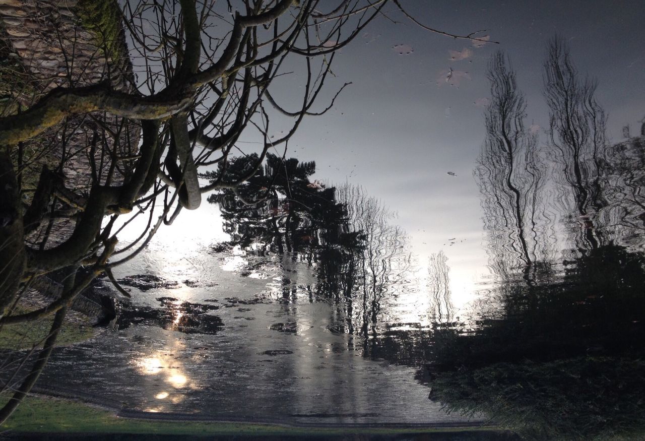 water, tree, reflection, tranquility, branch, nature, sky, growth, tranquil scene, lake, sun, beauty in nature, sunlight, scenics, silhouette, bare tree, outdoors, no people, river, day