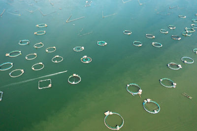 Fish ponds for bangus, milkfish. farming aquaculture or pisciculture practices. philippines, luzon.
