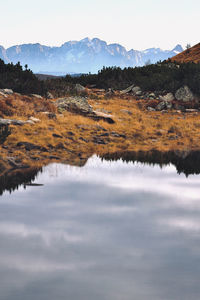 reflection