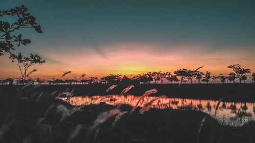 Silhouette trees by lake against sky during sunset