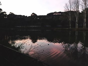 Reflection of trees in water