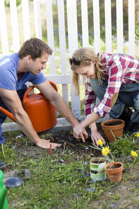 Young couple planting plants in garden, stockholm, sweden