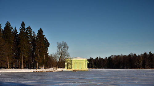 Trees and plants by building against clear sky