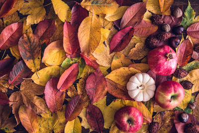 High angle view of autumn leaves with food on table