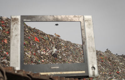 Close-up of garbage against built structure