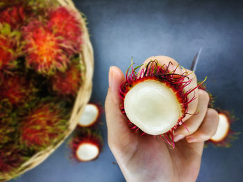 Close-up of person holding fruit