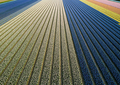 Aerial view of agricultural landscape