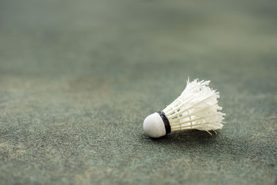 Close up of shuttlecock on turf