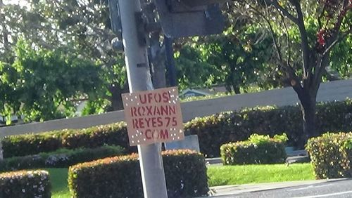 Information sign on tree trunk