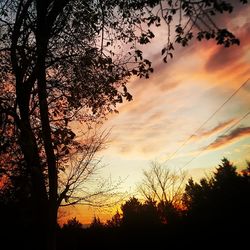 Silhouette trees against sky during sunset