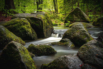 View of waterfall in forest