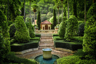 View of house and plants in garden