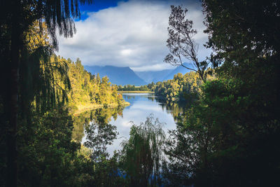 Reflection of trees in river against sky