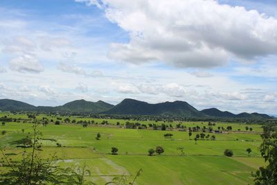 Scenic view of field against sky